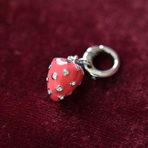 Fossil Strawberry Charm